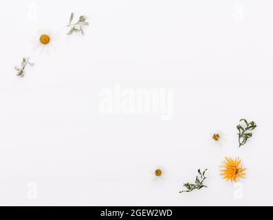 Autumn composition made of autumn dry multi-colored leaves and daisy flower on white wooden background. Autumn, fall concept. Flat lay, top view Stock Photo