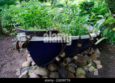 A blue rowboat with a white rim on stones used as a giant planter. Garden idea. Stock Photo