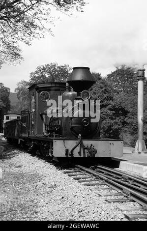 'Fiji' at Beddgelert Station. Stock Photo