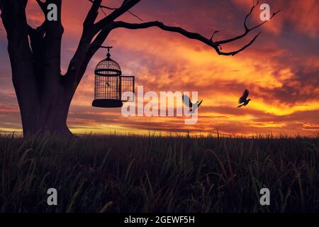 Dove birds escaping or released free from cage, hanging on a tree at sunset. 3D Illustration