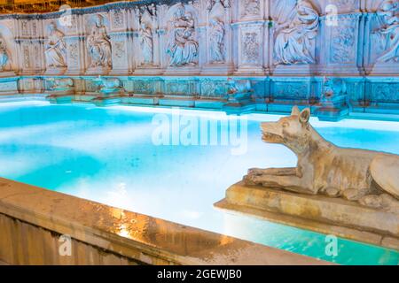 Particular of Fonte Gaia (1400s) at night in the Piazza del Campo, Siena, Italy. Stock Photo