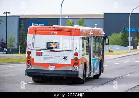 21 August 2021 - Calgary Alberta Canada - Calgary Mass Transit bus on street Stock Photo