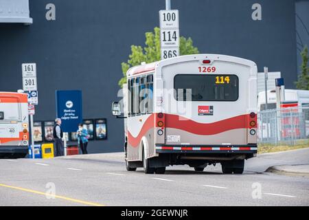 21 August 2021 - Calgary Alberta Canada - Calgary Mass Transit bus on street Stock Photo