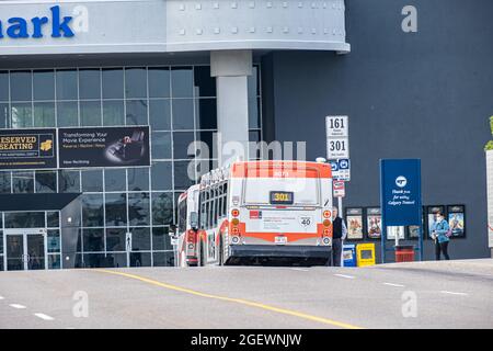 21 August 2021 - Calgary Alberta Canada - Calgary Mass Transit bus on street Stock Photo