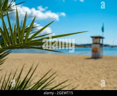 A Lifeguard Station Tower On A Beach In California, With Palm Tree Branches In The Foreground Stock Photo