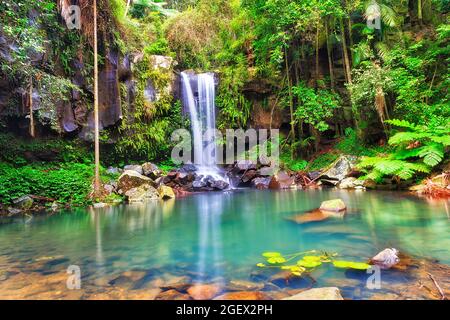 Scenic Mamborine waterfall in evergreen lush rainforest of Quensland Gold Coast, Australia. Stock Photo