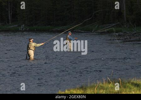 A woman and man fish in the Firehole River.  The woman is casting, the man has his line in the water.Woman and man fly fishing in the Firehole River ; Date:  15 June 2012 Stock Photo