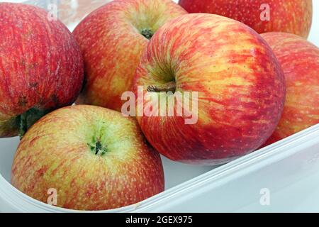 Natural tasty red apples in the plastic box Stock Photo