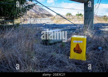 Traps set to capture predators like stoats and rats, are baited with chicken eggs and then the spring is set, Canterbury, New Zealand Stock Photo