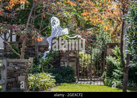 Halloween ghost decoration hanging from tree by garden gate with sun speckled and hokeh fall foliage around it. Stock Photo