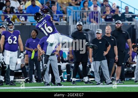 Baltimore Ravens wide receiver Tylan Wallace (16) prior to an NFL football  game between the Baltimore Ravens and the New England Patriots, Sunday,  Sept. 25, 2022, in Foxborough, Mass. (AP Photo/Michael Dwyer