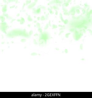 Green flower petals falling down. Classy romantic flowers gradient. Flying petal on white square background. Love, romance concept. Bold wedding invit Stock Vector