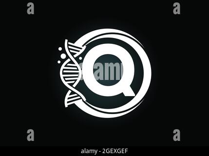 Initial Q monogram alphabet in a circle with DNA. Genetics logo design concept. Font emblem. Logo for medicine, science, laboratory, business Stock Vector