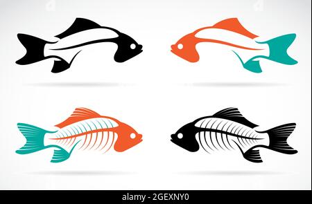 Vector image of an fish bones on white background. Easy editable layered vector illustration. Wild Animals. Farm Animal. Stock Vector