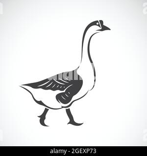 Vector image of a goose on white background, Vector goose logo. Farm Animals.  Easy editable layered vector illustration. Stock Vector