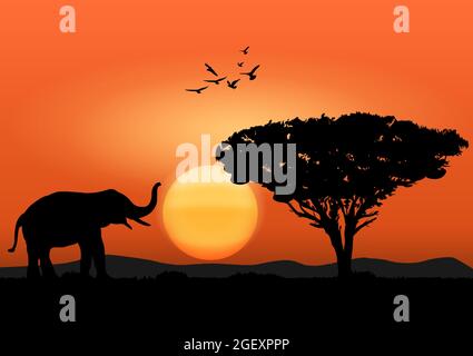 silhouette image Black elephant with walking at the forest with mountain and sunset background Evening light vector Illustration Stock Vector