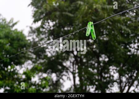 A close-up shot of a plastic cloth clip with trees in the background. These cloth clips prevent clothes from winds. Stock Photo