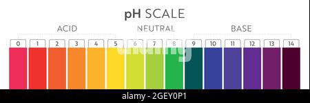 pH Value scale chart. Acid-base balance infographic. Education Poster Stock Vector