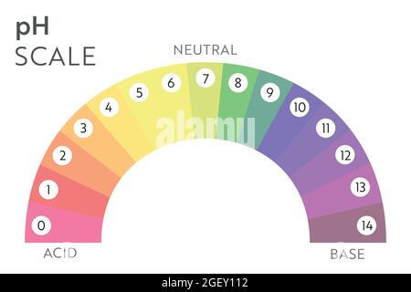 pH Value scale chart. Acid-base balance infographic. Education Poster Stock Vector