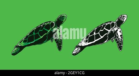 Hand-drawn green turtle vector illustration Stock Vector