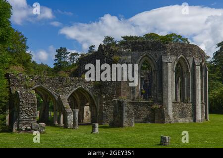 The ruins of Margam Abbey Chapter House, a Cistercian monastery, Margam Country Park. Port Talbot, South Wales.