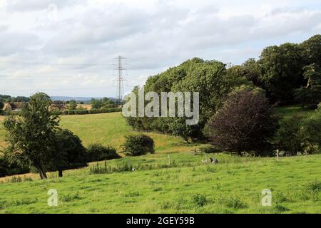 View across fields near Roman Road, Aldington, Ashford, Kent, England, United Kingdom Stock Photo
