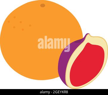 Exotic fruit icon isometric vector. Fresh ripe juicy grapefruit and fig. Healthy eating, organic food Stock Vector