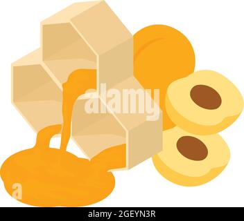 Honey dessert icon isometric vector. Fresh ripe juicy apricot and honeycomb. Sweet product, cooking ingredient Stock Vector