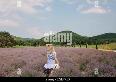 Rear view of woman in dress and white hat standing in middle of lavender field, relaxing on wooden chair and enjoying amazing picturesque view, green Stock Photo