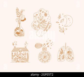 Set of floral art icons in hand made line style vase of flowers, woman face, moon, house, perfume bottle, human lungs drawing on beige background Stock Vector