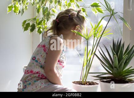 Sad caucasian child of three years old sitting on window sill and looking at window Stock Photo