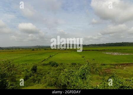 Beautiful green landscape as seen from train while travelling on Konkan Railway between Thivim and Karmali railway station during monsoon. Stock Photo