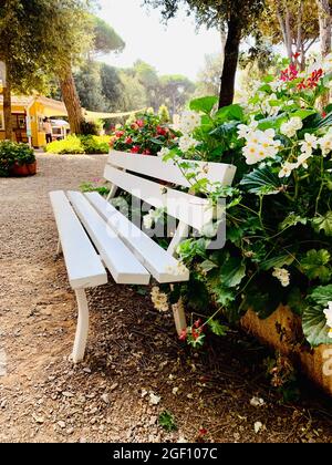 Lonely white wooden bench in the street, park bench. Stock Photo