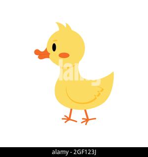White gosling or duckling icon isolated on white background. Stock Vector