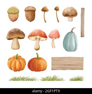Mushrooms autumn set with grass in watercolor painting style. Mushrooms isolated on a white background. Stock Vector