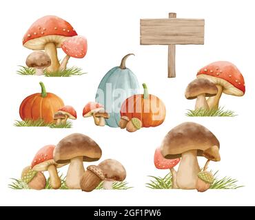 Mushrooms autumn set with grass in watercolor painting style. Mushrooms isolated on a white background. Stock Vector