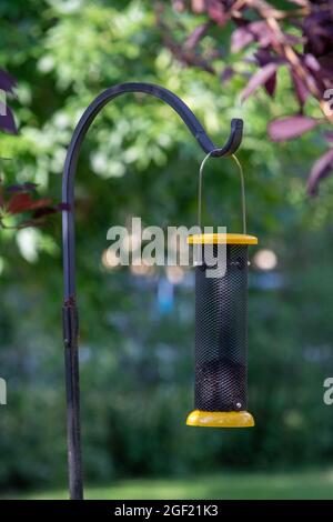 Abstract view of a black and yellow color hanging metal thistle bird feeder with a defocused outdoor background Stock Photo