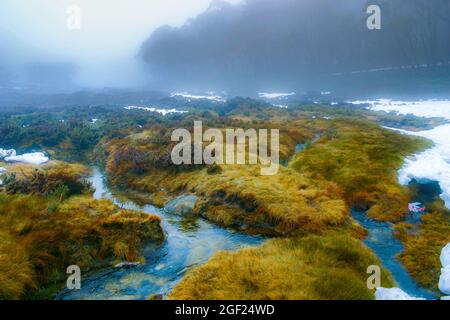 Alpine streams cutting through a foggy landscape of grass and snow Stock Photo