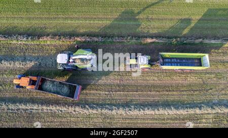 Aerial of tractor baler making straw bales in field after wheat harvest in summer on farm. High quality photo Stock Photo