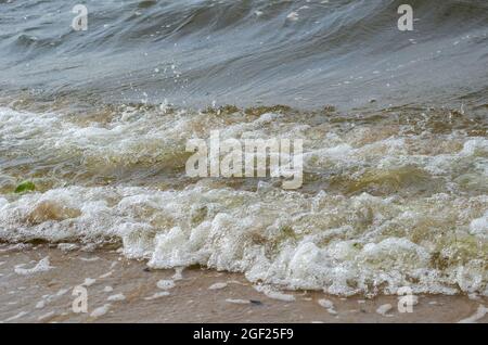 Sea waves rolling on the sandy shore.  Bubbling seawater with bubbles and green algae. Calming storm on the sea. Selective focus, blurred motion, nois Stock Photo