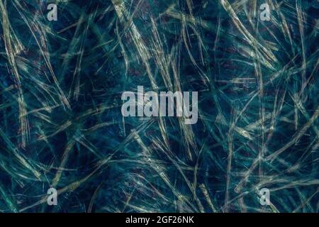 Abstract blue-green fiberglass background. Fiberglass texture close up. Stock Photo