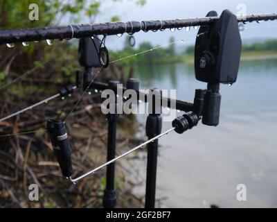 Fish bite alarm for carp fishing on the lakeshore Stock Photo - Alamy