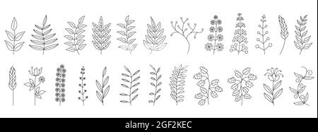 Autumn twigs. Black branches isolated. Set of linear autumn branches. Vector illustration. Stock Vector