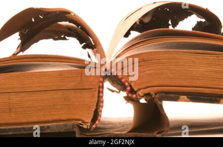 open burned book Stock Photo