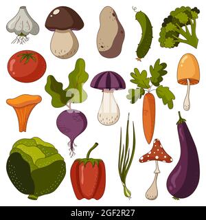 Icon set of autumn raw vegetables and mushrooms in a flat style isolated on a white background. Stock Vector