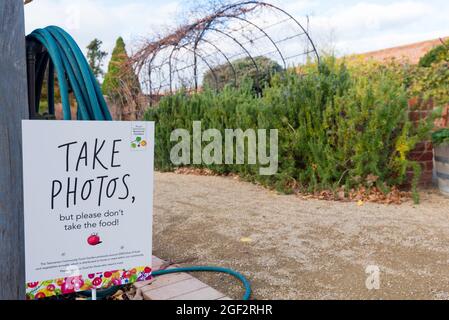 Famous for its regular feature on the TV program Gardening Australia, the vegetable patch in the Hobart Botanical Gardens also supports charities Stock Photo