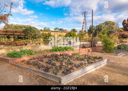 Famous for its regular feature on the TV program Gardening Australia, the vegetable patch in the Hobart Botanical Gardens also supports charities Stock Photo