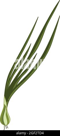 Scallion icon in a flat hand drawn style isolated on a white background. Vector illustration. Stock Vector