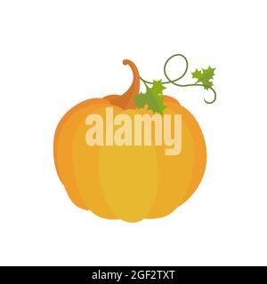 Orange pumpkin isolated on white background. Cartoon flat style. Vector illustration Stock Photo