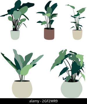 Indoor and outdoor landscape garden potted plants vector image. Flat vector design isolated on white background. Image for postcards, banners, ads... Stock Vector